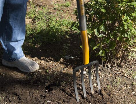 The Best Garden Fork Options To Easily Loosen Dirt Bob Vila