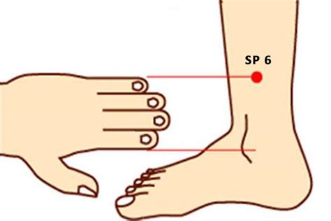 Sp 6 Acupuncture Pointsanyinjiao Or Spleen 6 Peakmassager