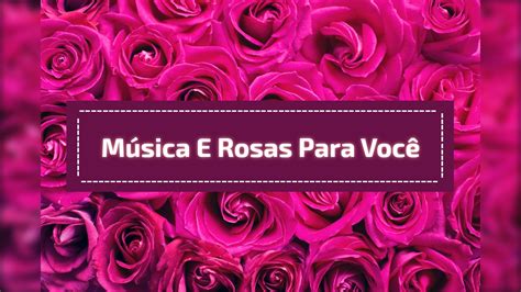 ․․․․․ fazer uma programação é só o começo. Video com linda música gospel e imagens de rosas ...