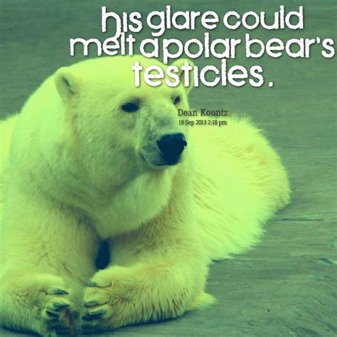 Polar Bear Quotes Quotesgram
