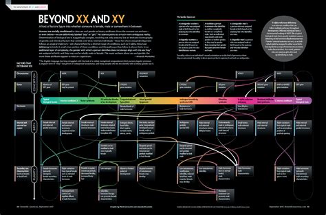 Beyond Xx And Xy The Extraordinary Complexity Of Sex Determination [key Diagram] R Lgbt