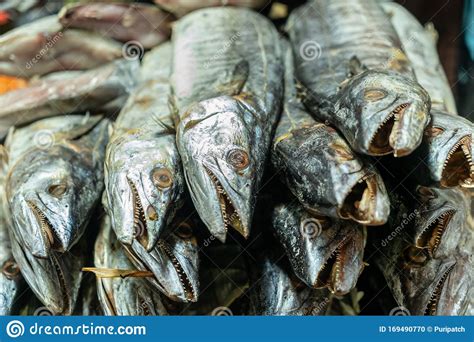 Scomberomorus guttatus is a marine fish of the family of the mackerels and tunas. Dried Indo-Pacific King Mackerel Fish For Sale In The ...