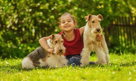 Teaching Children How To Be Safe Around Dogs