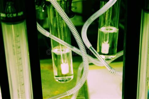 Biotechnology Research Lab Stock Photo Image Of Concept 4250950