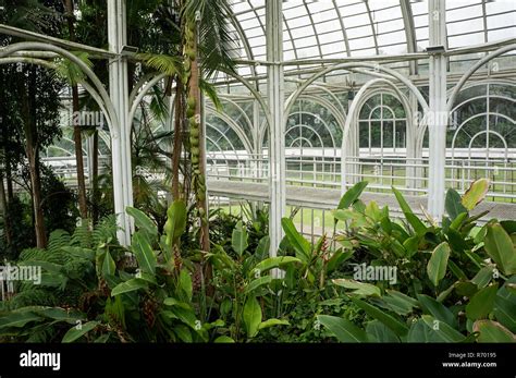 Glass Hall Greenhouse Botanical Garden Curitiba Indoors White Metallic