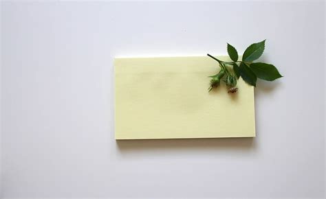 Green Leaf White Sticky Notes Note Leave Office Paper Write