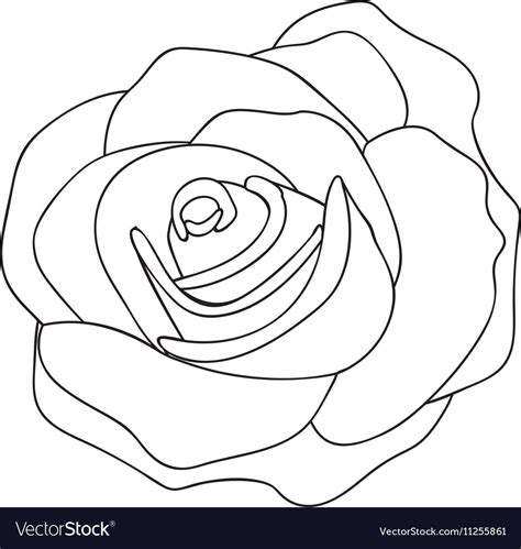 Rose Line Drawing Image Royalty Free Vector Image