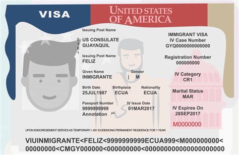 Cuántos tipos de visas estadounidenses hay y cuáles son Internacional Noticias El Universo