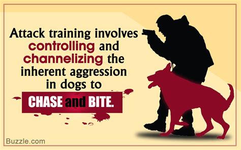 How Do Police Train Their Dogs To Attack Youll Be Amazed To Know