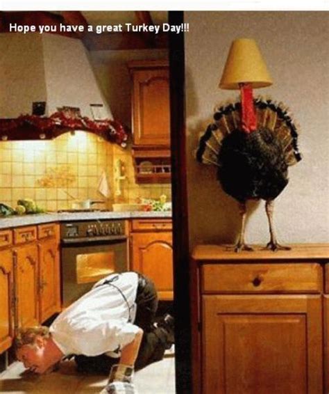 Funny Thanksgiving Moments 35 Pics 1