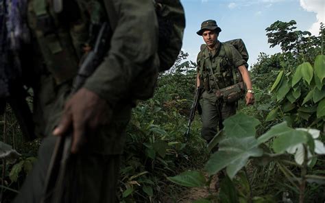 Colombias Farc Rebels Prepare For Peace Al Jazeera America