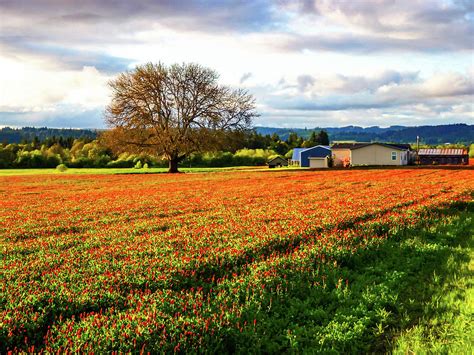 Countryside Oregon Photograph By Aashish Vaidya Fine Art America