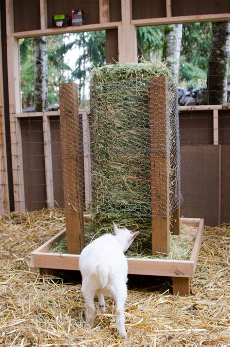 Diy Hay Rack Quails Square Bale Hay Feeder For Goats Goat Farming