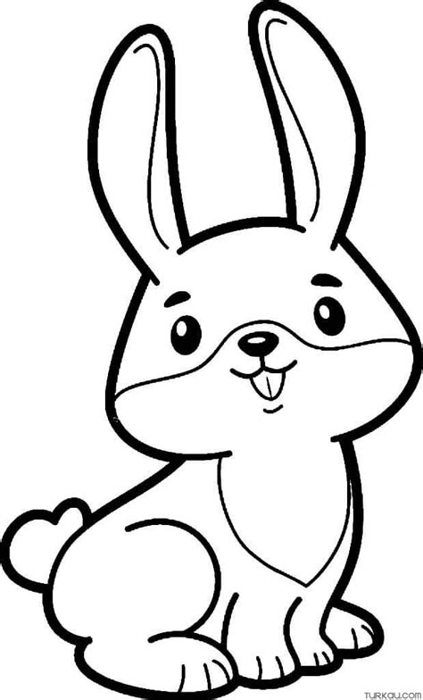 Cute Baby Rabbit Coloring Page Turkau
