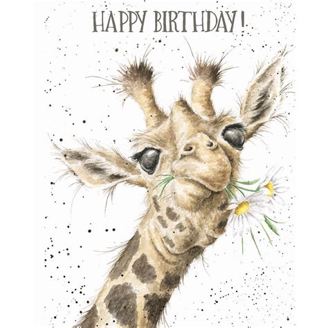 Oc007 Birthday Flowers In 2021 Giraffe Happy Birthday Wrendale