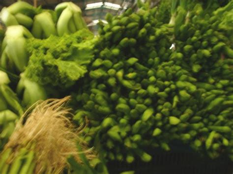 This is a beatiful beach. Daun Genjer @ Pasar BSD