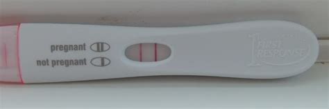 This Fake Pregnancy Test Always Looks Positive And We Hope It S Being Used For Hilarious Pranks
