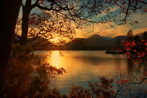 England Sunrises And Sunsets Lake Scenery Branches Keswick
