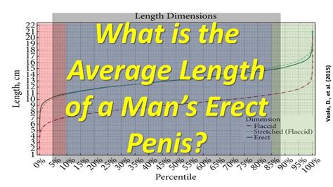 What Is The Average Length Of A Mans Erect Penis Youtube