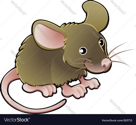 Mouse Royalty Free Vector Image Vectorstock