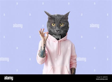 Funny Grey Cat With Human Body Showing Ok On Lilac Background Stock