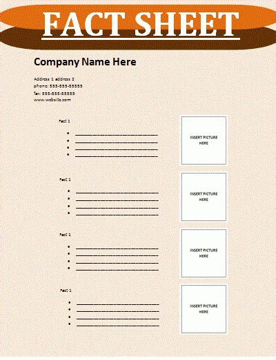 fact sheet template  sheet templates