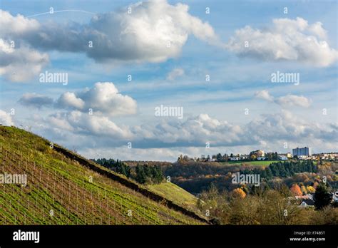 German Vineyard On A Beautiful Autumn Day Stock Photo Alamy