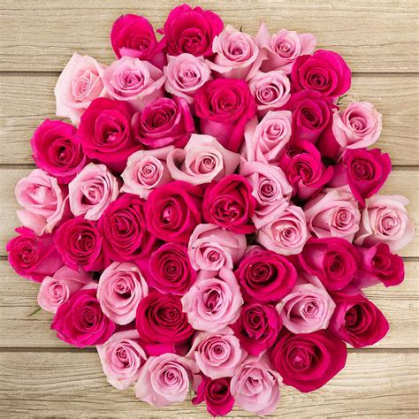 50 Stem Hot Pink And Light Pink Roses Pink Rose Bouquet Light Pink