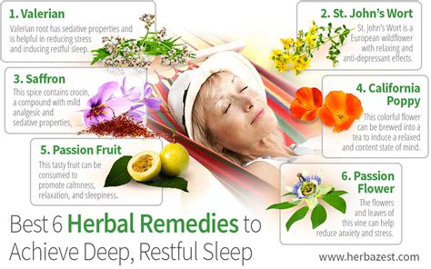 Best 6 Herbal Remedies To Achieve Deep Restful Sleep Herbazest