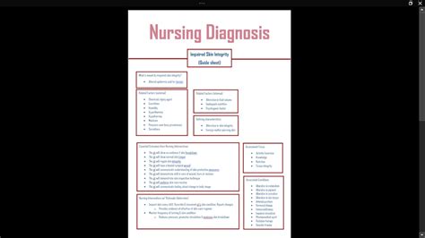 Impaired Skin Integrity Nursing Diagnosis Guide Sheet Etsy