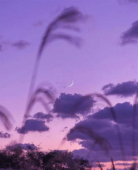 Photo By Lofi Aesthetics In Paradise Vibe Image May Contain Sky