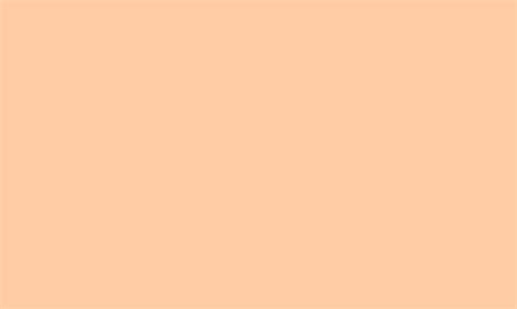 1280x768 Deep Peach Solid Color Background