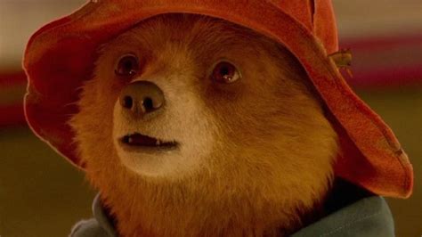 The Most Iconic Bears In Movie History 247 News Around The World