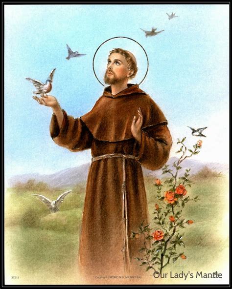 Saint October 4 St Francis Of Assisi Patron Of Animals Ecology