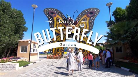 Dubai Butterfly Garden Dubai Uae Traveller Passport Youtube