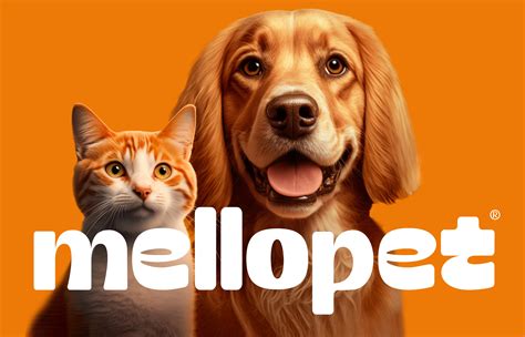 Vibrant And Happy Brand Strategy And Packaging Design For Mellopet Unleashing Pet Joy World