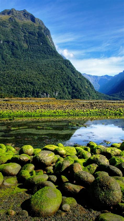 Milford Sound In Fiordland National Park New Zealand Wallpaper Backiee