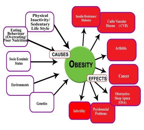 The Major Causes And Consequences Of Obesity Download Scientific Diagram