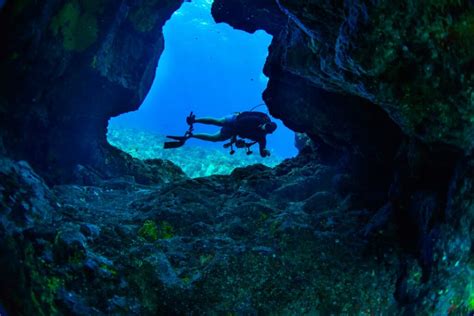 5 Best Oahu Scuba Diving Tours Your Questions Answered