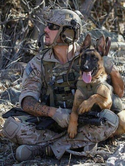 10military Dogs Military Working Dogs Military Dogs Military Veterans