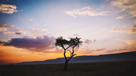 Kenya from mapcarta, the open map. MOST BEAUTIFUL KENYAN SUNSET!! || KENYA DAY 16 - YouTube