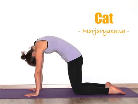 The experts for men's health demonstrate how to perform the cat/cow stretch. How to do cat cow pose: Yoga poses step by step explained