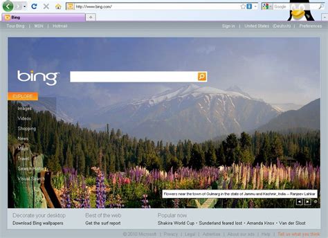 Wie verwende ich google fotos? Hintergrundbilder auf der Homepage: Bei Google hat es Bing ...