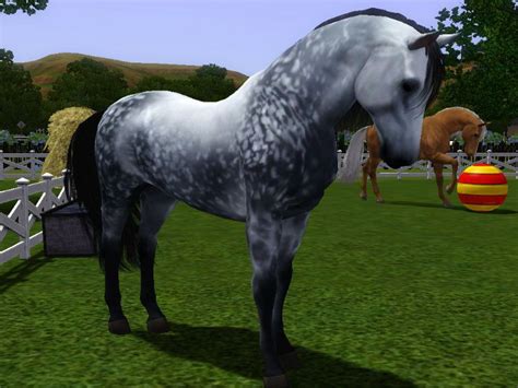 Horse Mods For Sims 3 Codejawer