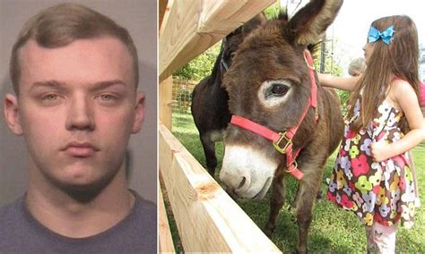 Illinoius Man Rrested For Punching A Donkey In The Face Daily Mail Online
