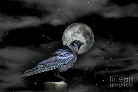 Raven And Full Moon Photograph By Stephanie Laird Pixels