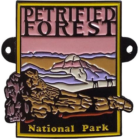 Petrified Forest National Park Walking Stick Medallion Petrified