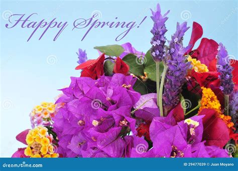 Happy Spring Stock Image Image Of Orange Love Happy 29477039
