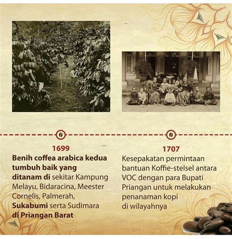 Artikel Membahas Sejarah Kopi Priangan Java Preanger Of Coffee Asep
