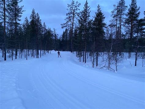 Urho Kekkonen National Park Saariselka Aggiornato 2020 Tutto